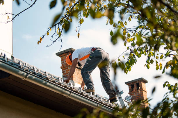 Best Roof Replacement Cost  in New Baltimore, VA